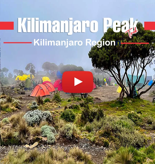 Kilimanjaro Peak Trek Expedition Informative Video